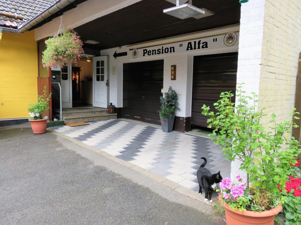 Facade/entrance, Day, Summer