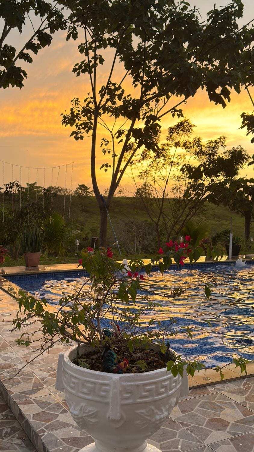 View (from property/room), Lake view