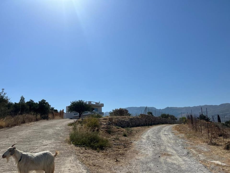 Day, Neighbourhood, Natural landscape, Mountain view