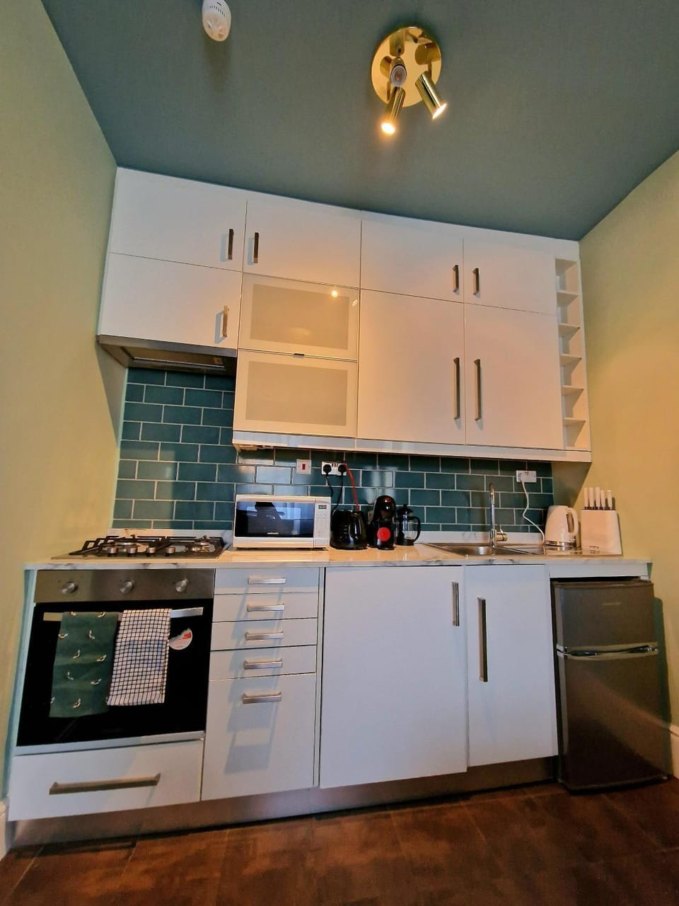 Coffee/tea facilities, Kitchen or kitchenette, minibar, pet friendly, stove, toaster