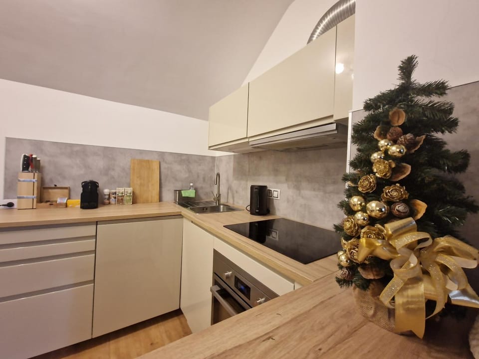 Kitchen or kitchenette, kitchen