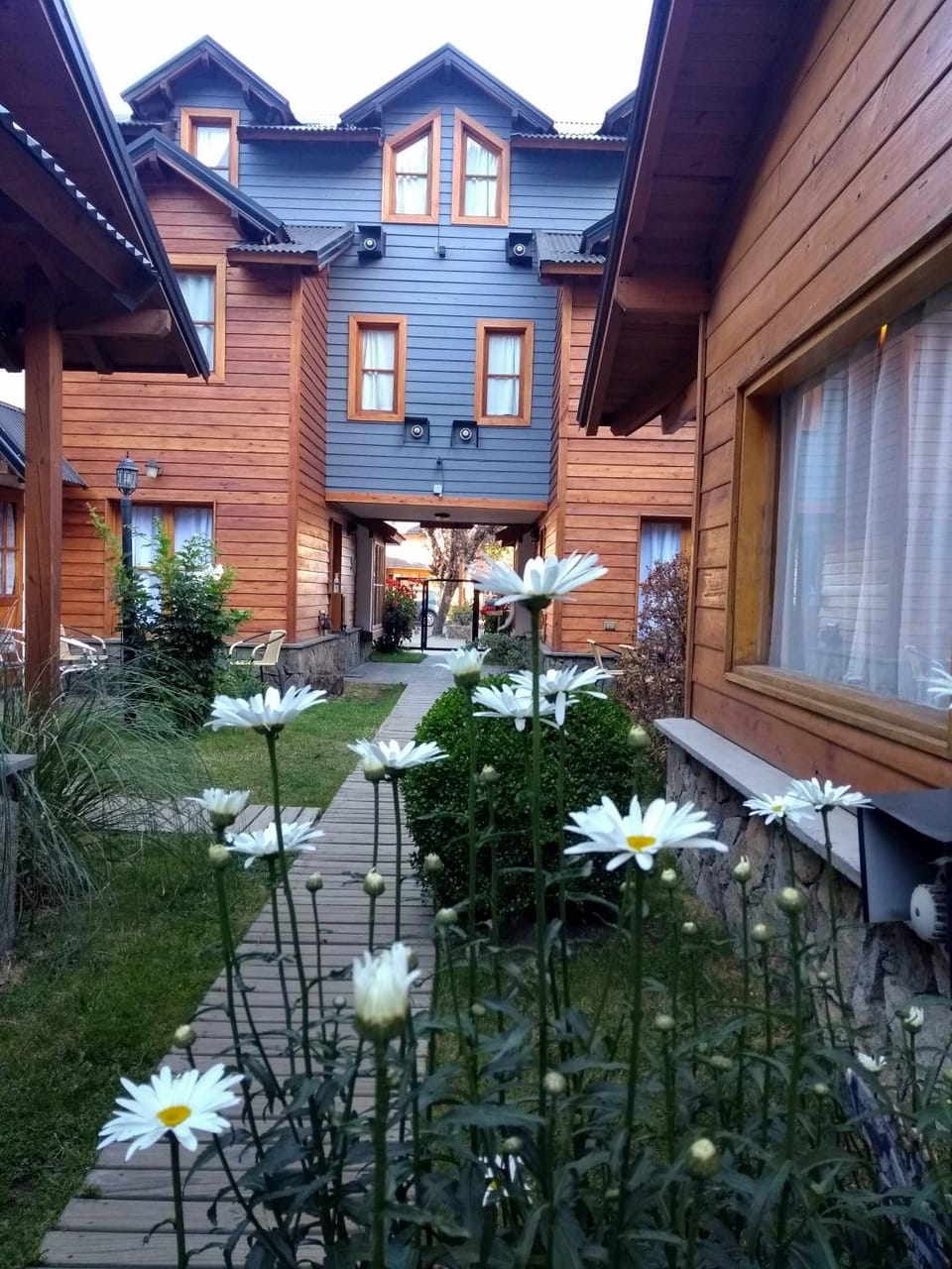 Property building, Garden, Garden view