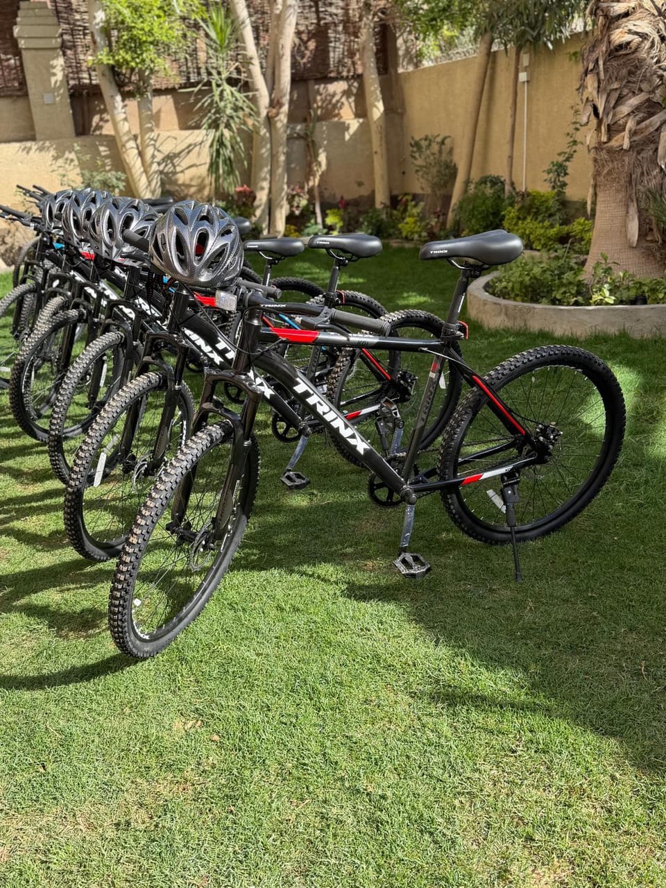 Day, Cycling