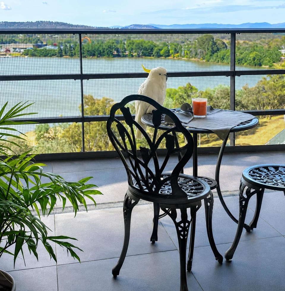Stylish Central Lake View Apartment - free parking Apartment in Canberra