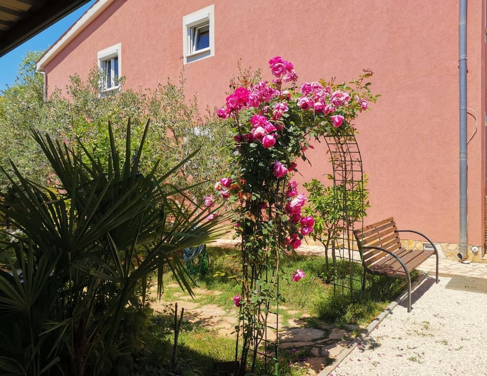 Inner courtyard view