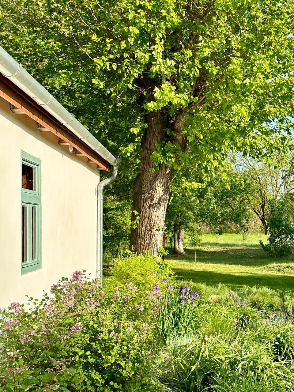 PusztaFarm - Boutique Retreat with Wellness 6 to 8 Guests Farm Stay in Hungary