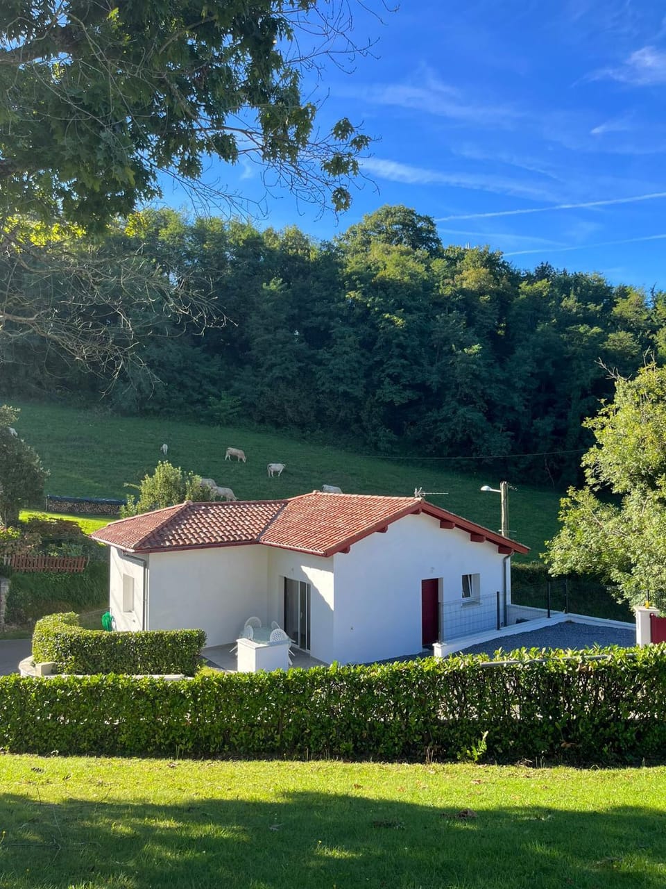Natural landscape, Garden view, Mountain view