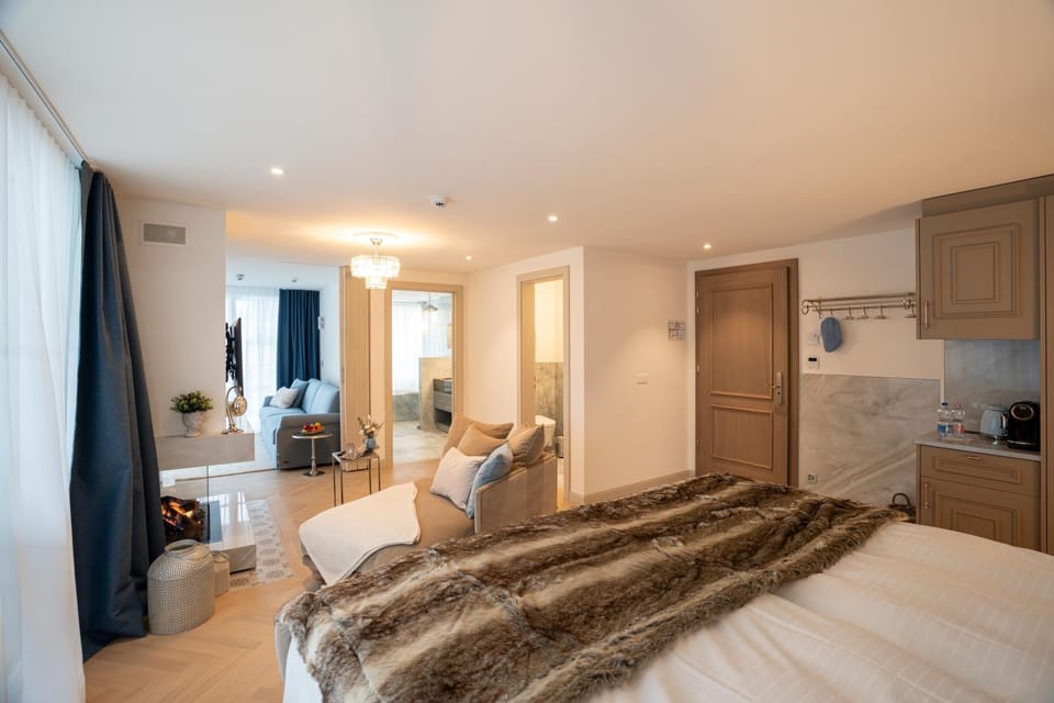 Bed, Living room, Photo of the whole room, Seating area, Bedroom