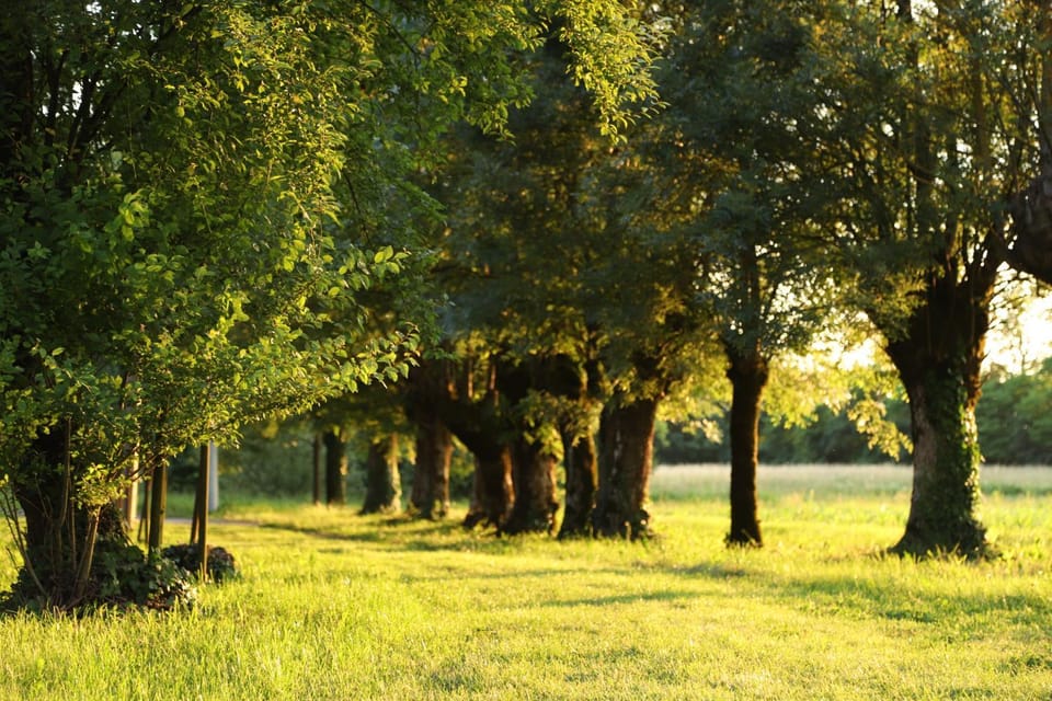 Natural landscape