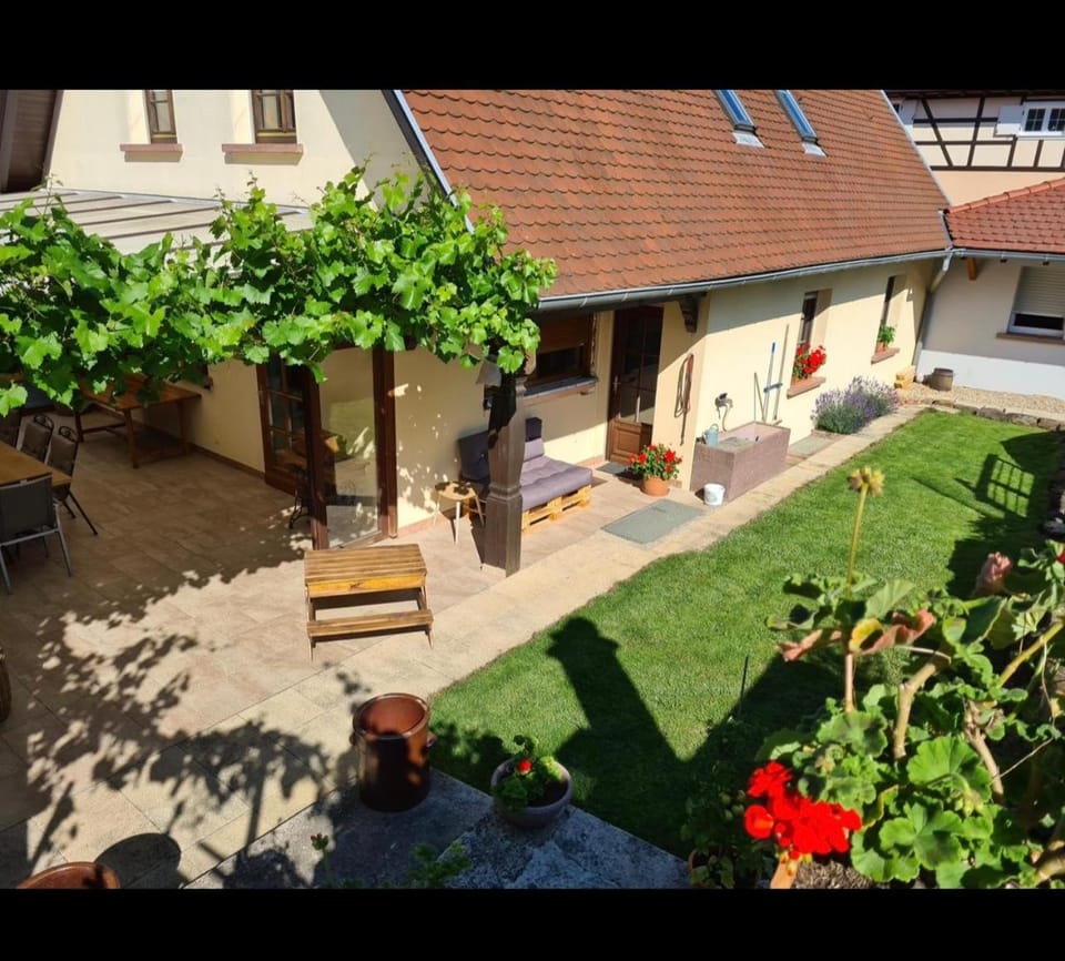 Garden view