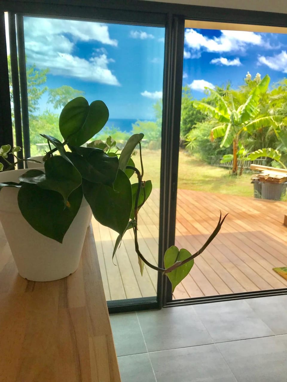 Natural landscape, Garden, Garden view