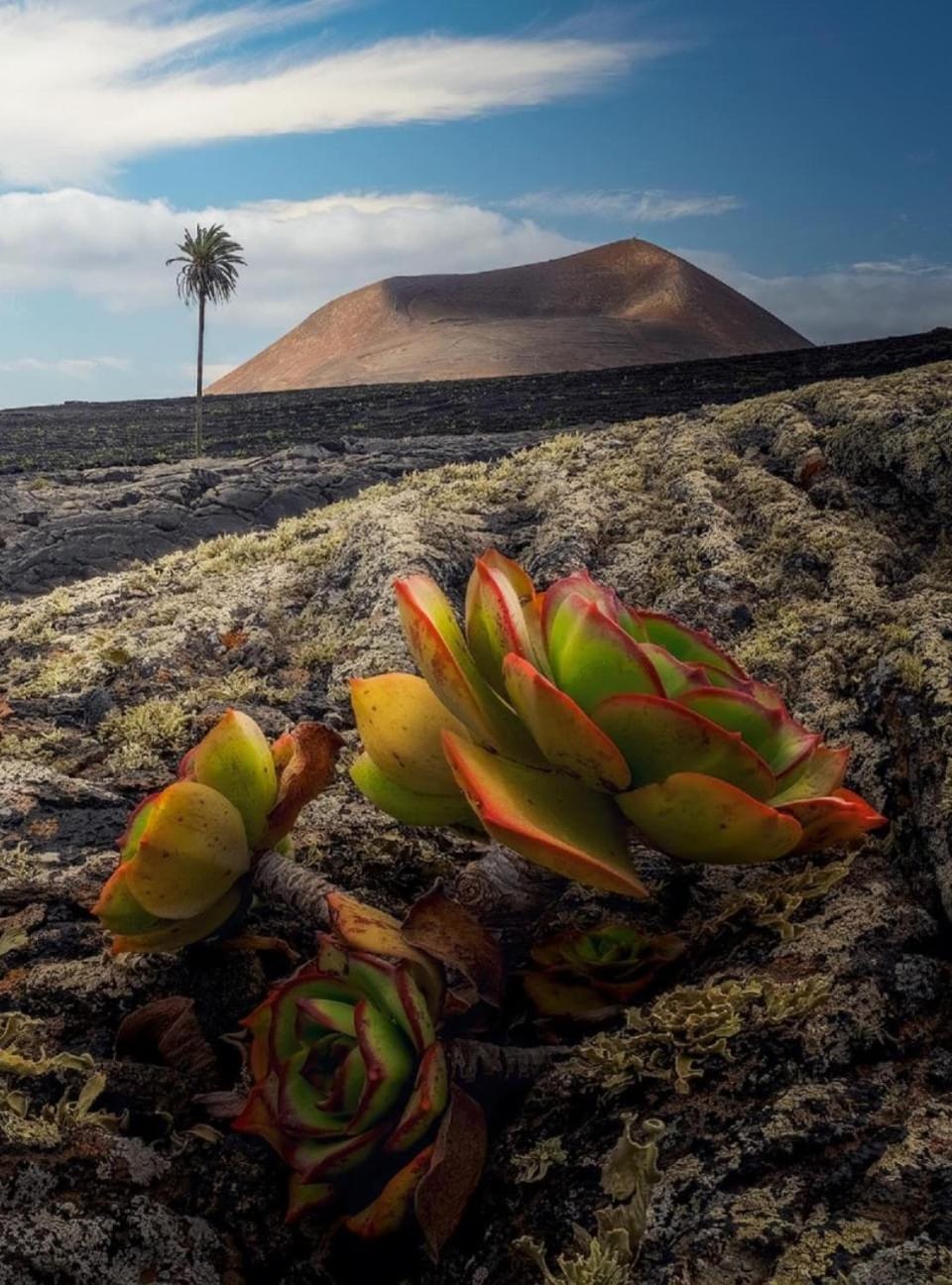 LANZAROTE Casa Volcánica-Anclada sobre la lava del volcán Villa in Isla de Lanzarote