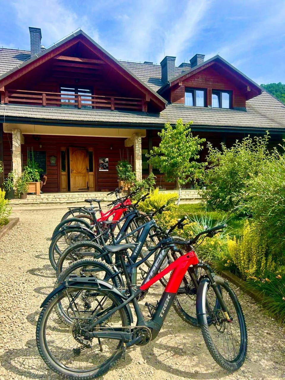 Cycling, Cycling, Sports, Entertainment