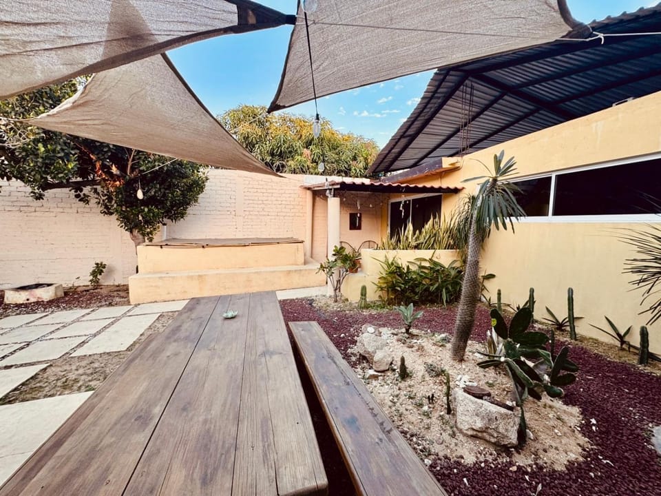 Patio, Garden, Garden view