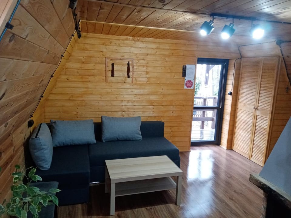 Chatka pod lasem Chalet in Lower Silesian Voivodeship