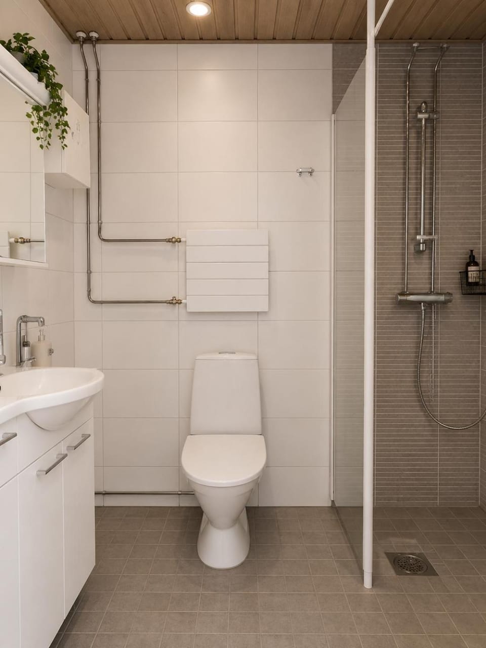 Shower, Toilet