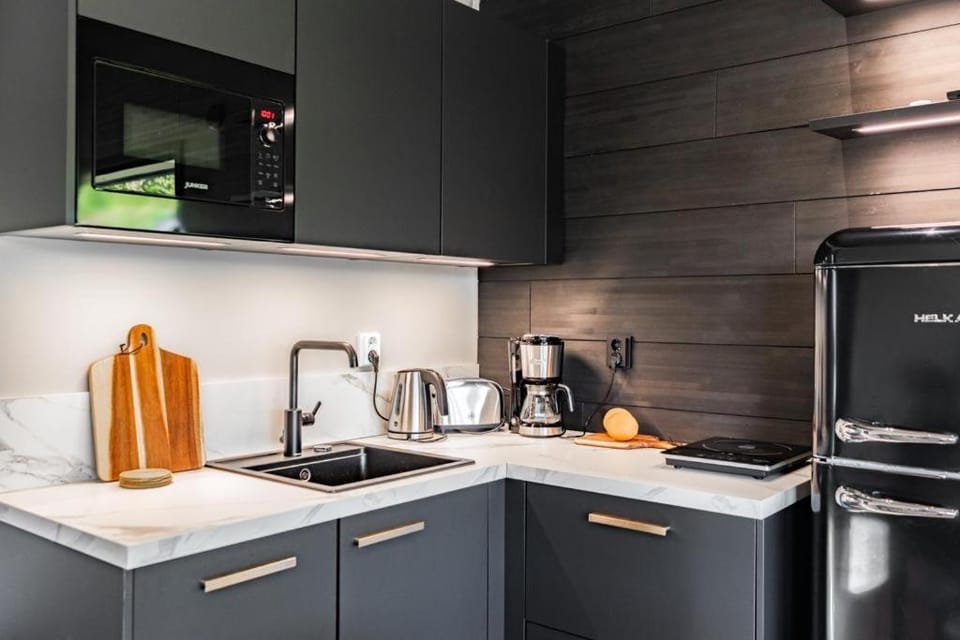 Coffee/tea facilities, Kitchen or kitchenette, minibar, stove, toaster