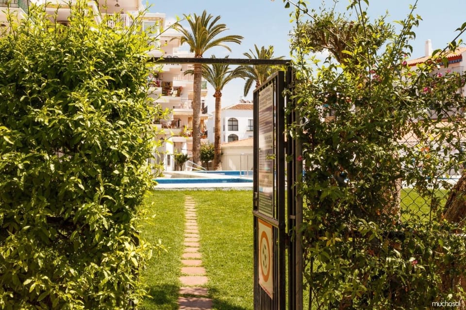 Garden, Swimming pool