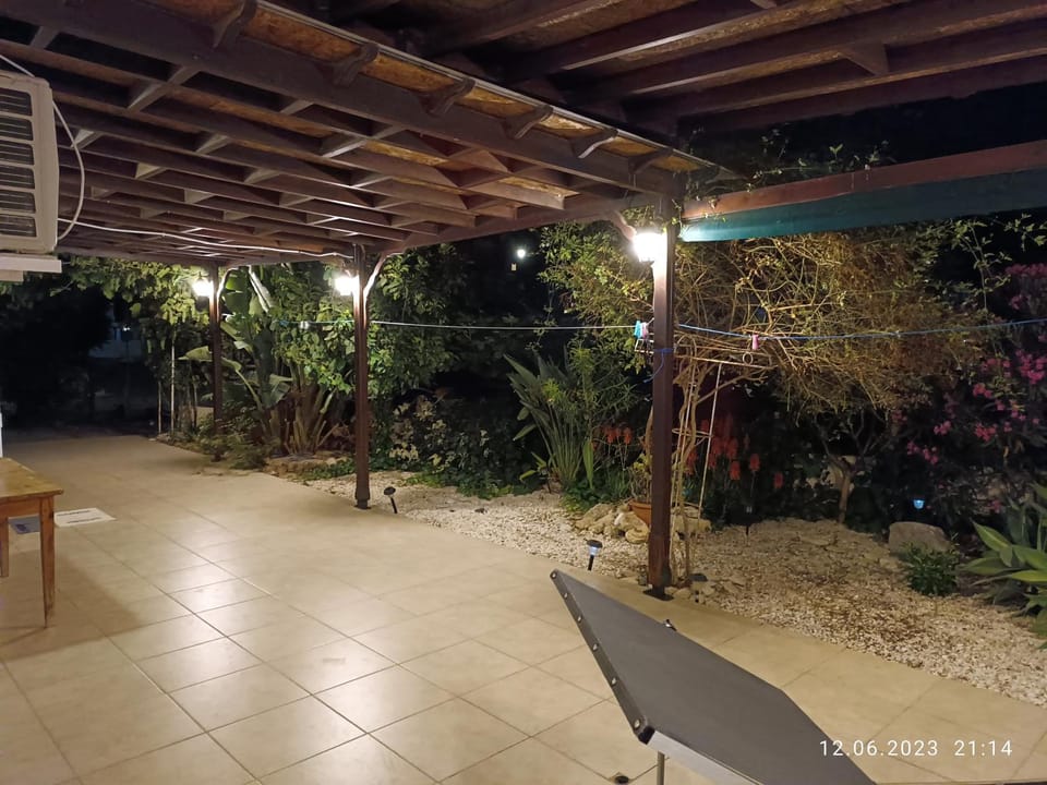 Night, Garden, Garden view