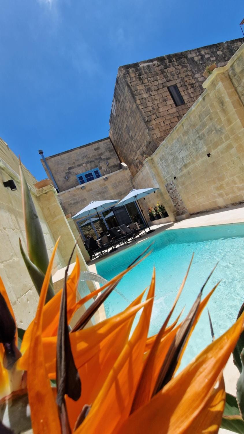 Pool view, Swimming pool, Swimming pool, sunbed