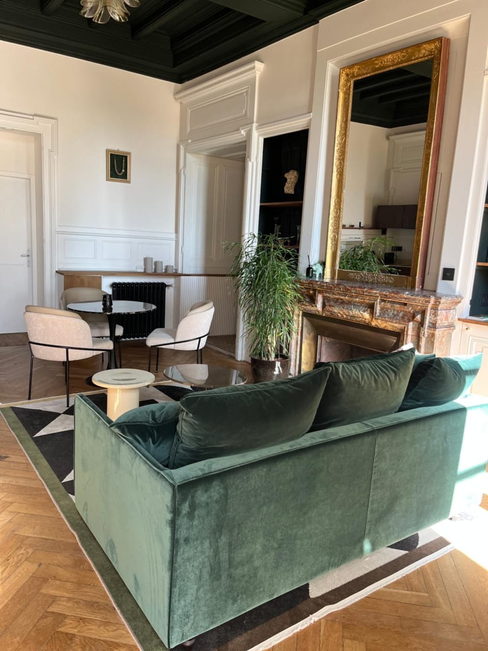 Appartement chic et de caractère ! Apartment in Caluire-et-Cuire