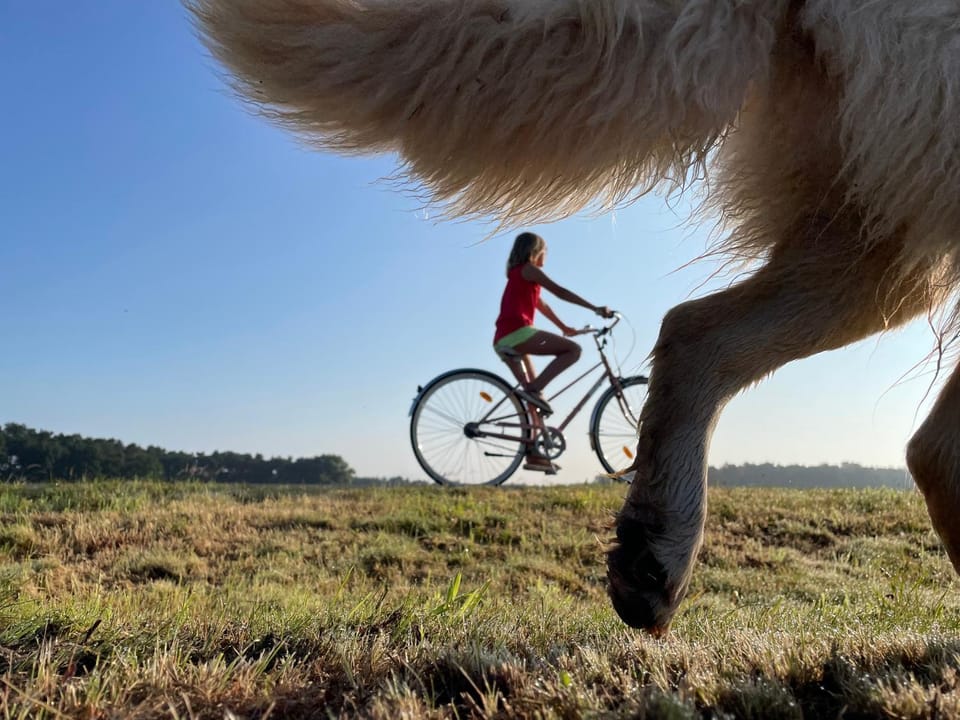 Cycling