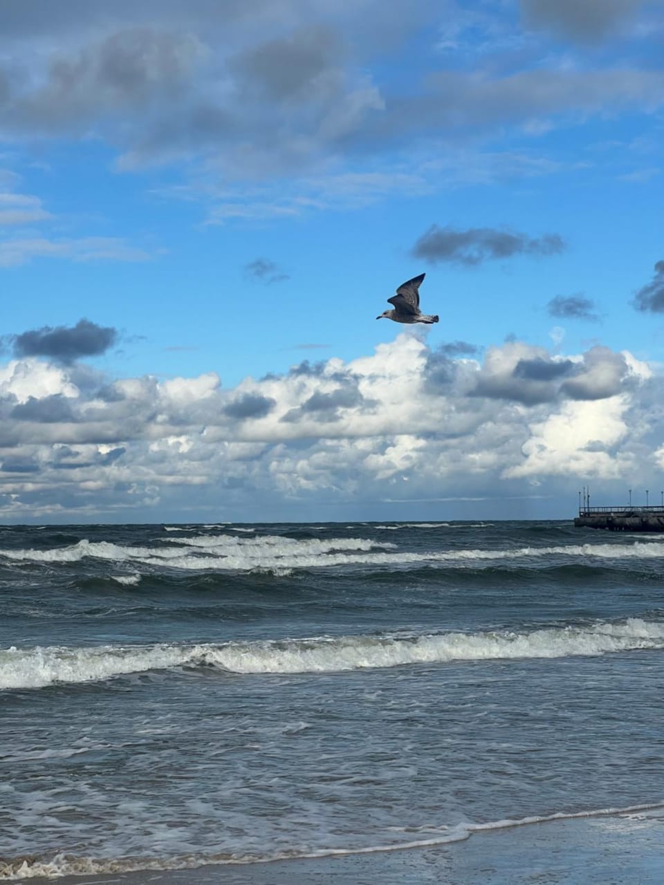 Sea view