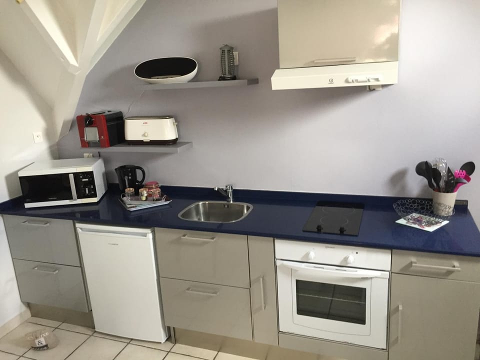 Kitchen or kitchenette, minibar, pet friendly, stove, toaster