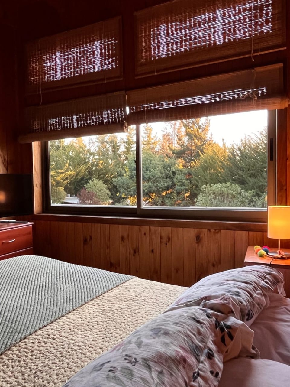 Cabañas Bosques de Puertecillo House in O'Higgins, Chile