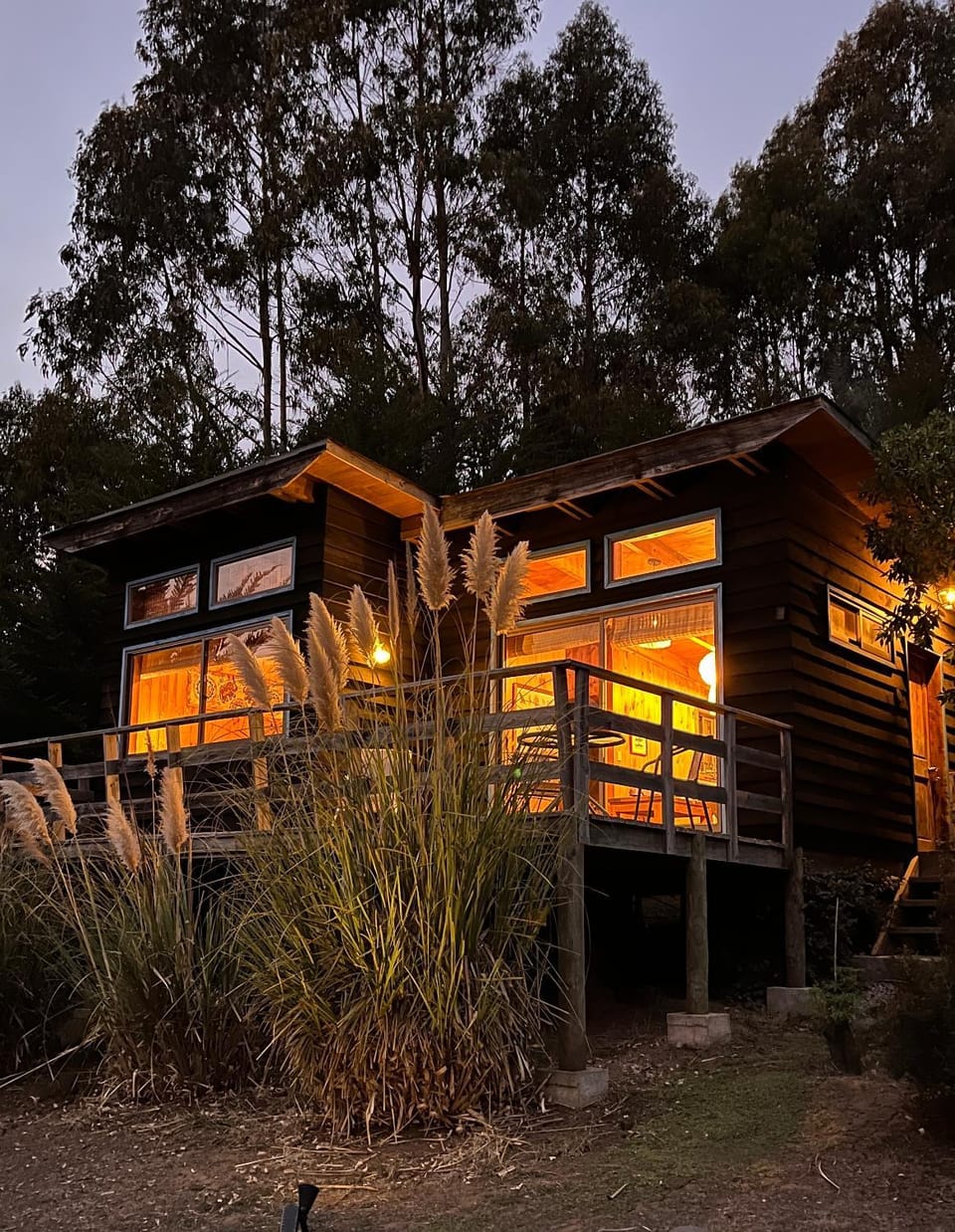 Cabañas Bosques de Puertecillo House in O'Higgins, Chile