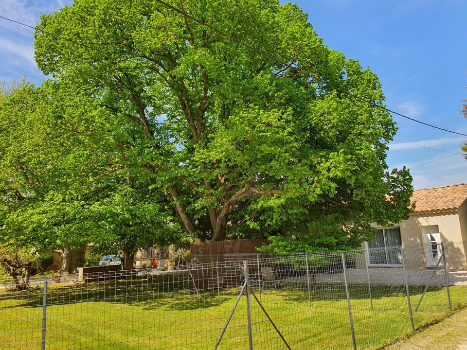 Petite maison en campagne House in Pernes-les-Fontaines