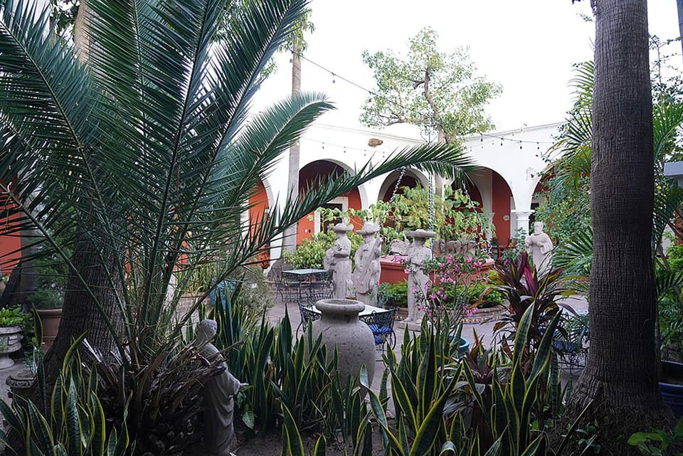 Garden view