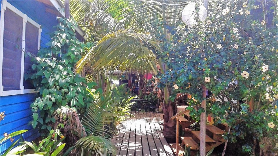Garden, Garden view