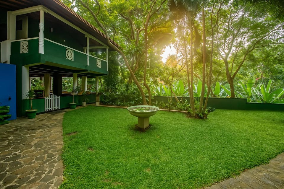 Garden view