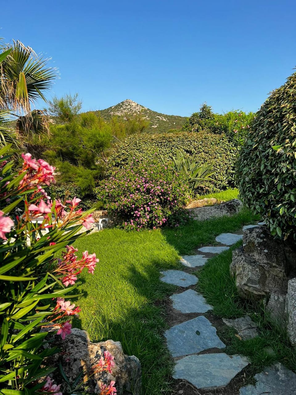 Day, Natural landscape, Garden, Garden view, Mountain view