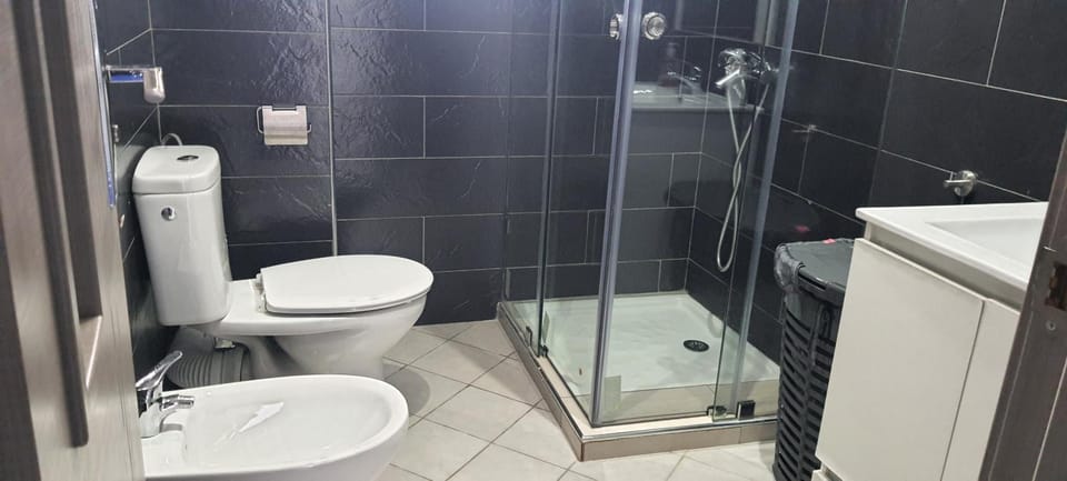 Shower, Toilet, Bathroom, bidet