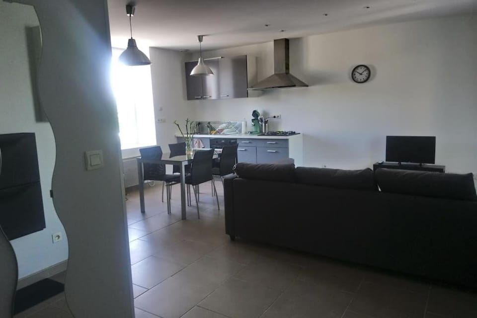 TV and multimedia, Kitchen or kitchenette, Living room, Seating area, Dining area, minibar, pet friendly, stove