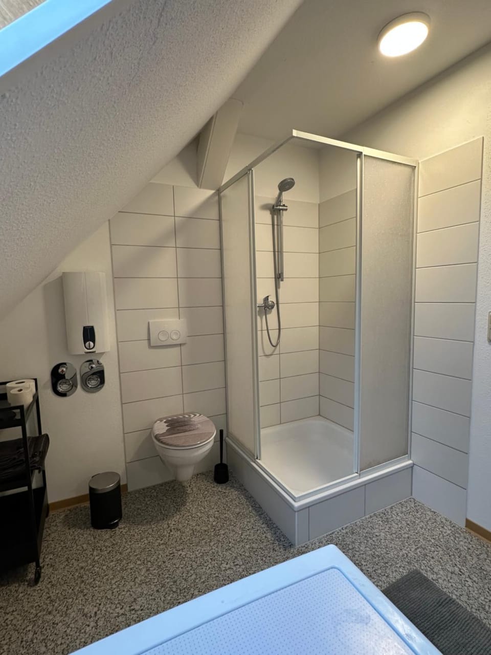 Shower, Toilet, towels