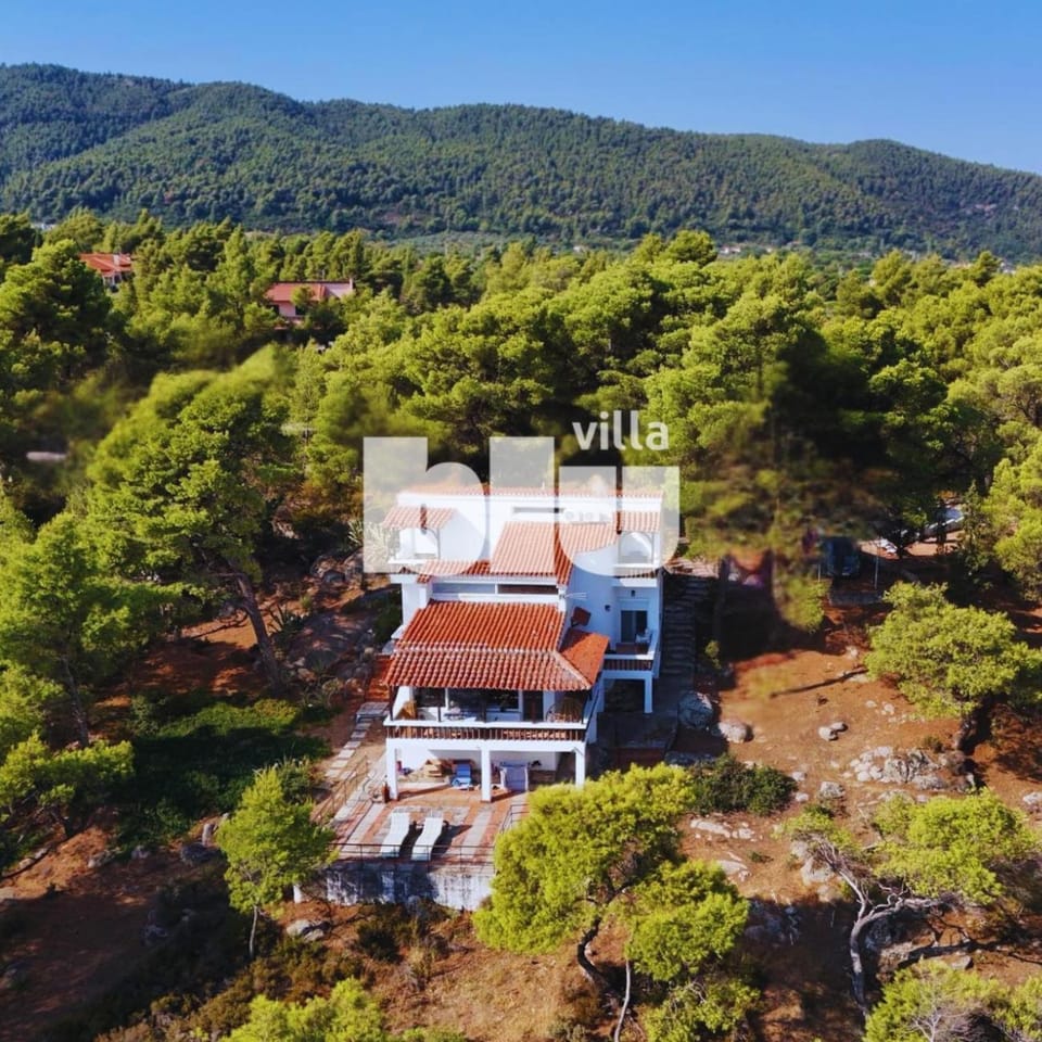 Bird's eye view, Mountain view