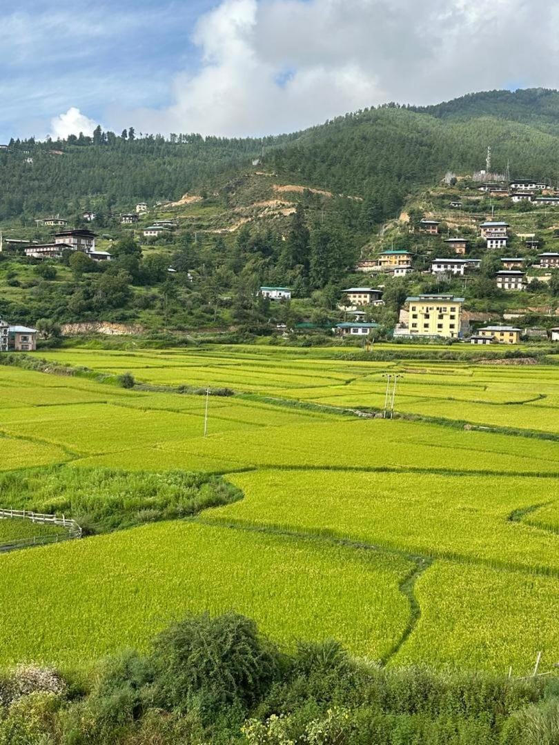 Green valley boutique Hotel in Asia