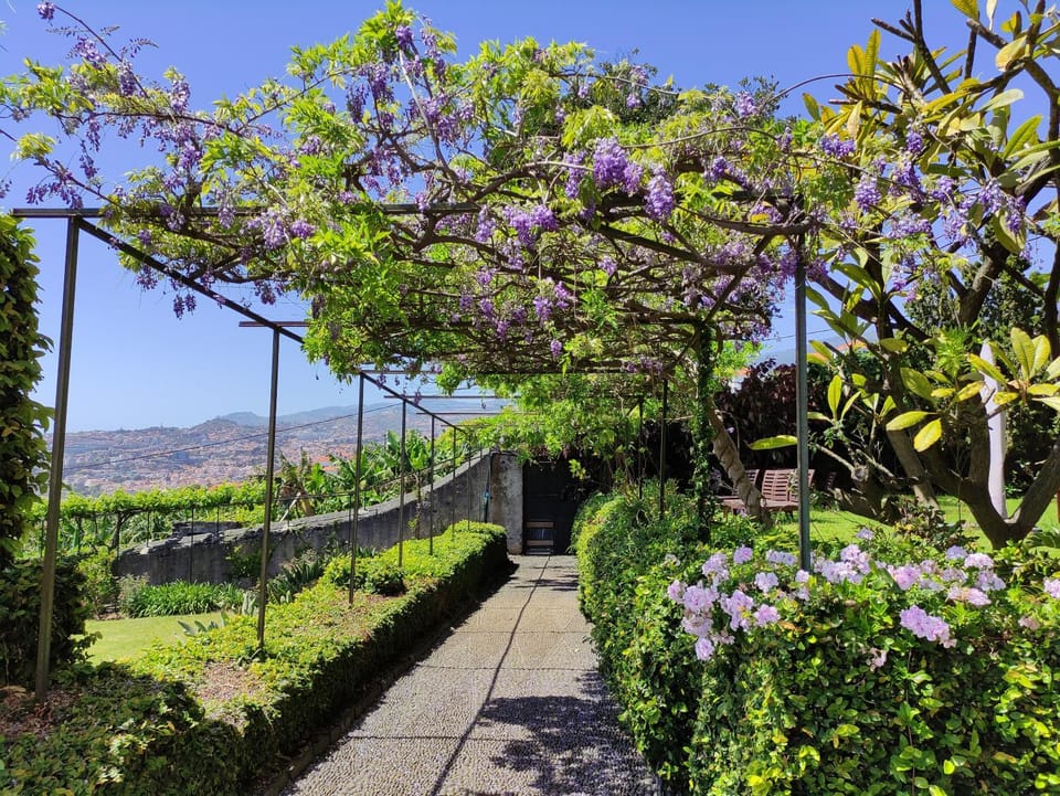 Spring, Garden