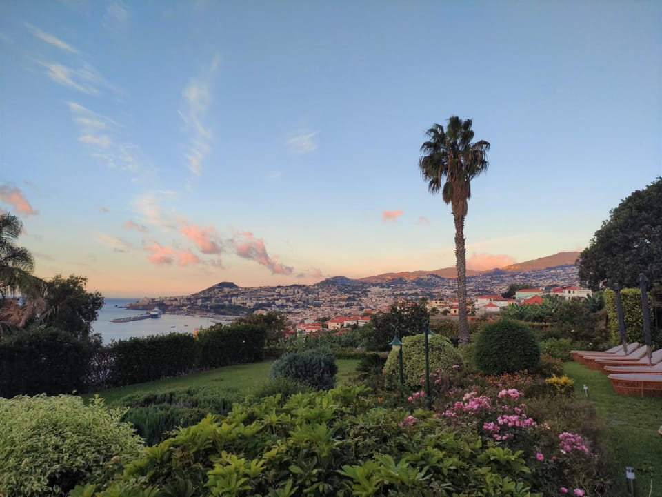 Natural landscape, Garden view