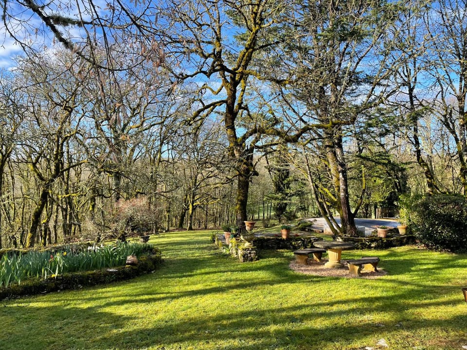 Natural landscape, Garden view