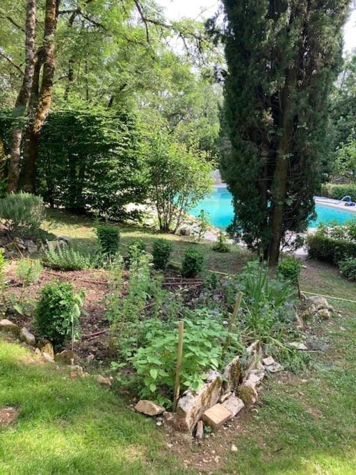 Garden, Pool view, Swimming pool, Swimming pool
