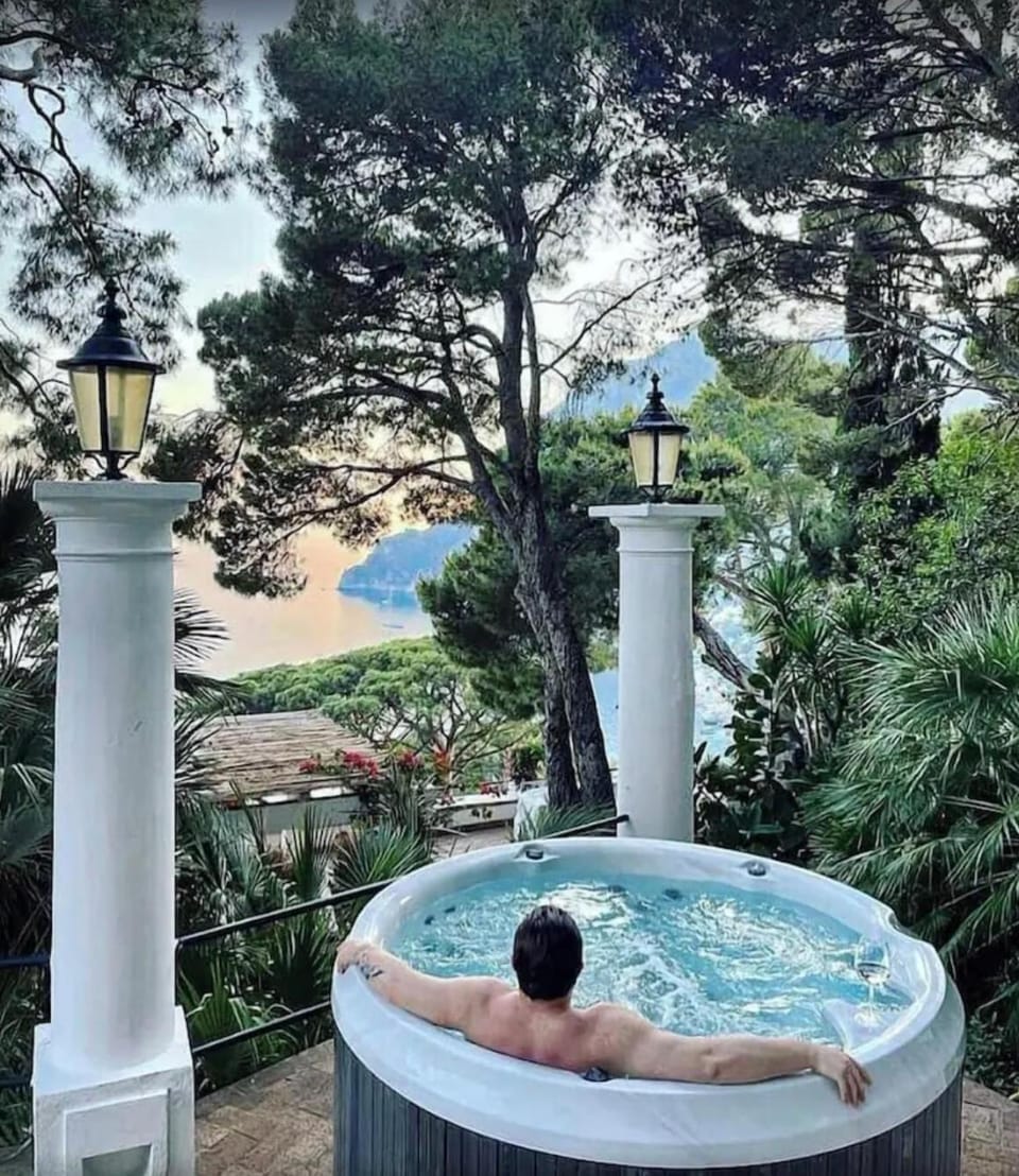 Natural landscape, Hot Tub, Garden view