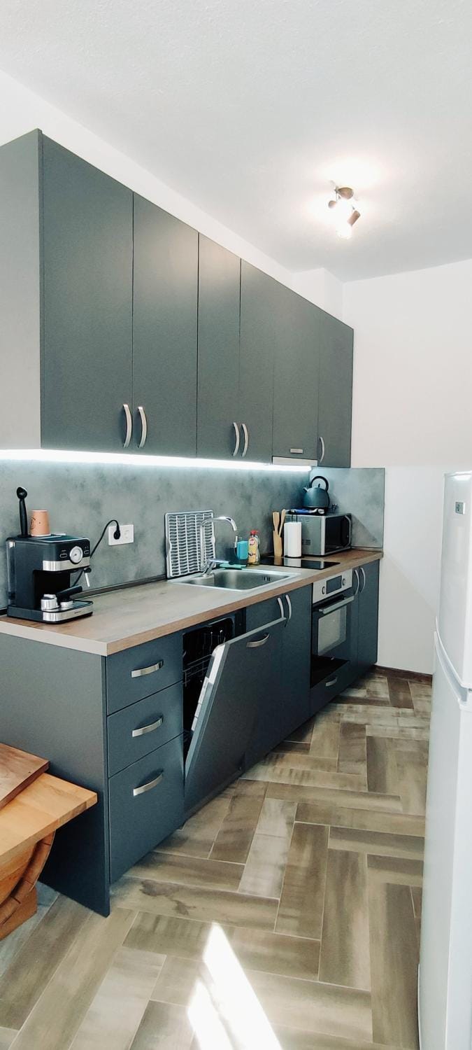 Kitchen or kitchenette, dishwasher, minibar, pet friendly, stove