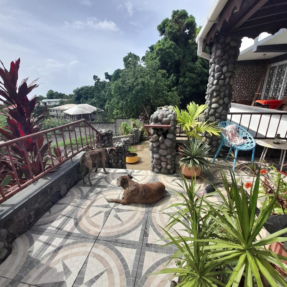 Garden view