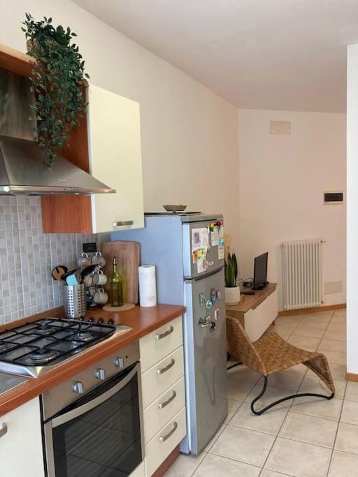 Il Cedro con wi-fi e parcheggio gratuiti Apartment in Lucca
