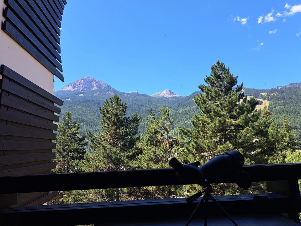 Mountain view