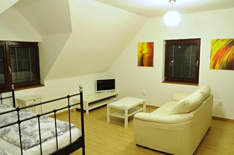 Bed, TV and multimedia, Living room, Bedroom
